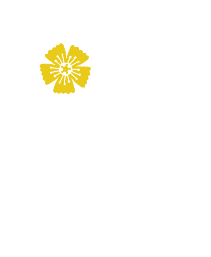 RONALOKA